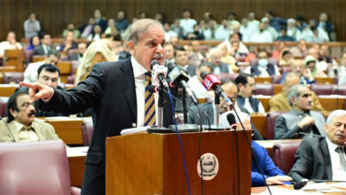 اسمبلیاں